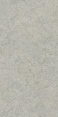 Керамогранит Италон Форум Стоун Сильвер 610010004168 серый 60x120
