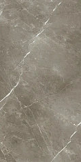 Италон Керамогранит Италон  Стелларис Тусканиа Грэй 60х120 серый 
