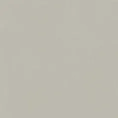 Керамогранит Италон Форум/ forum Слим Сильвер 610010004138 Серый 80x80