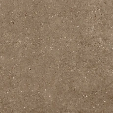 Керамогранит Гранитея g214-Аркаим/ arkaim Браун mr 60x120