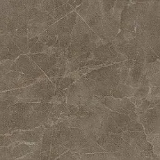 Керамическая плитка с.с. грей 600010001975 30,5x56