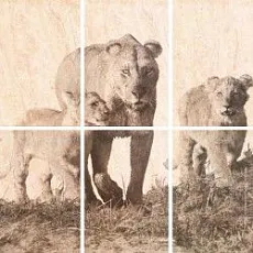 Керамическая плитка селлинг панно 01 60x60