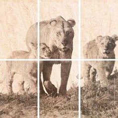 Шахтинская плитка Селлинг панно 01 бежевый 