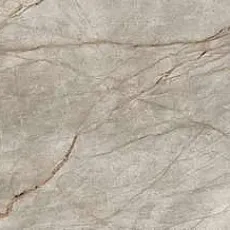 Керамогранит Эмпайр/ empire silver root lapp 120x278